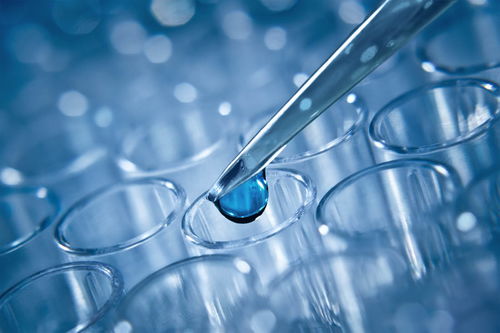 試管嬰兒技術詳解 一代、二代與三代的區別及其技術推廣服務